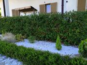 Top Santeramo in Colle