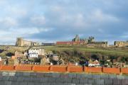 Top Whitby