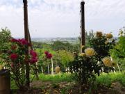 House of The Red Poppy