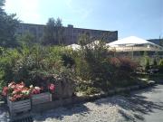 Top Stronie Śląskie Top Stronie Śląskie