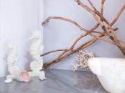 Top Monterosso al Mare