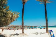 Top Alcudia