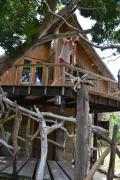 Driftwood Treehouse
