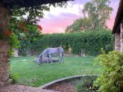 Top Polizzi Generosa