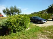 Top Ivanec Bistranski