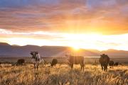 Top Graaff-Reinet Top Graaff-Reinet