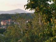 Top Soko Banja