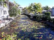 Top Noosaville
