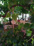 Top San Giorgio a Liri