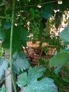 Top San Giorgio a Liri