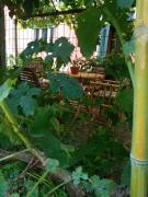 Top San Giorgio a Liri