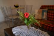 Apartman Kristo