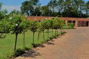 Top Benoni