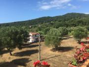 Top Vibonati