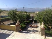 Top Cogollos de Guadix