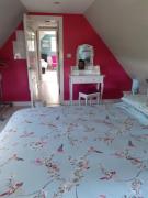 Top Bushmills Top Bushmills