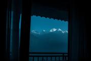 Top Pelling