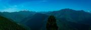 Top Pelling