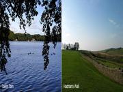 Top Brampton