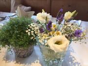 Top Reith bei Seefeld