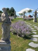 Top Ponti Sul Mincio