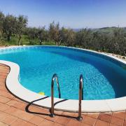 Top Casoli