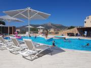 Top Plitra