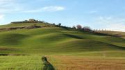 Top Castelmuzio