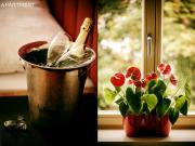 Top Prague Top Prague