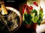 Top Prague Top Prague