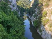 Top Celle di Bulgheria