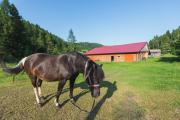 Agroturystyka u Chlebków