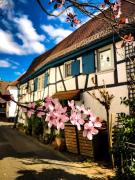 Hexenhäuschen Dreieichenhain