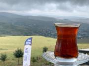 Top Aybastı