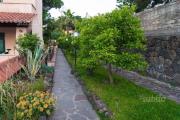 Top Ischia Town