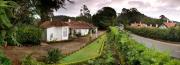 Top Coonoor