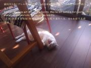 Guesthome Machiya Koza カーシェア可能 長期滞在割引あり