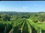 Top Varaždinske Toplice