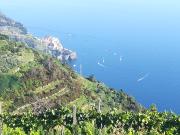 Top Corniglia
