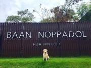 Top Hua Hin