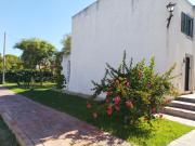 Top Conceição Top Conceição