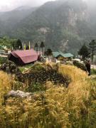 Top Lachung