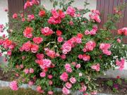 Top Villar-Saint-Pancrace Top Villar-Saint-Pancrace