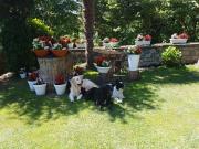 Top Arenas de Cabrales