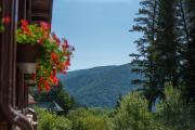 Top Sinaia