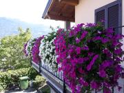 Villetta maison hélène CIR n 0391