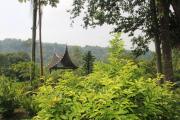 Top Bukittinggi