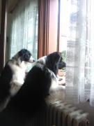 Top Deštné v Orlických horách