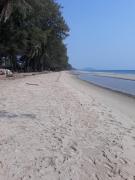 Top Rayong