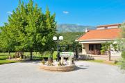 Top Danilovgrad